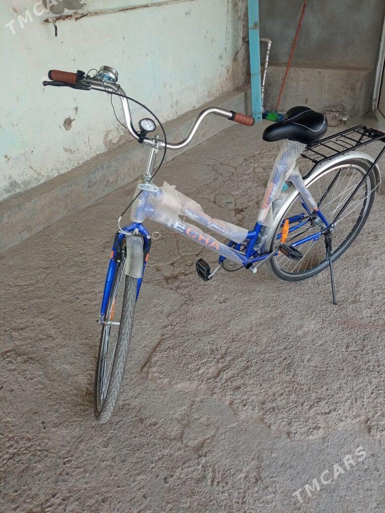 28Tigir - Kaka - img 8