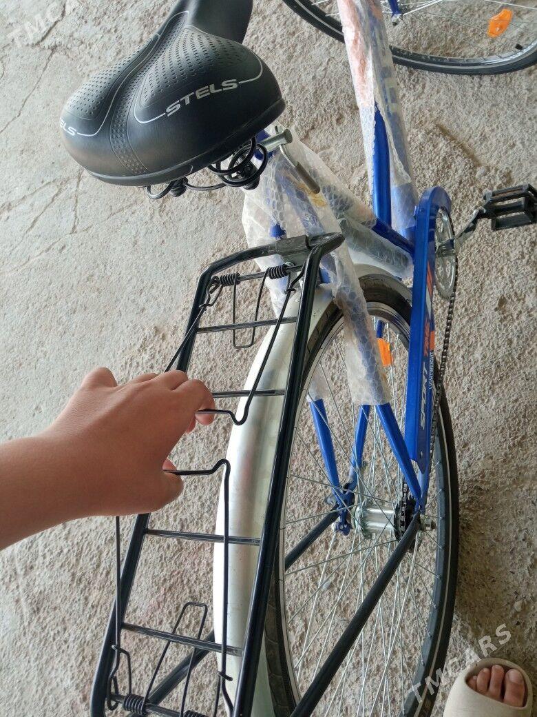 28Tigir - Kaka - img 5