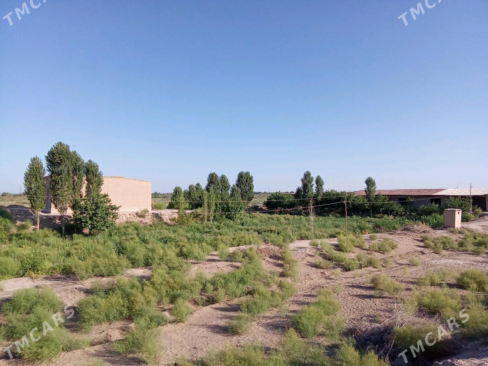 Uçasga - Gubadag - img 5