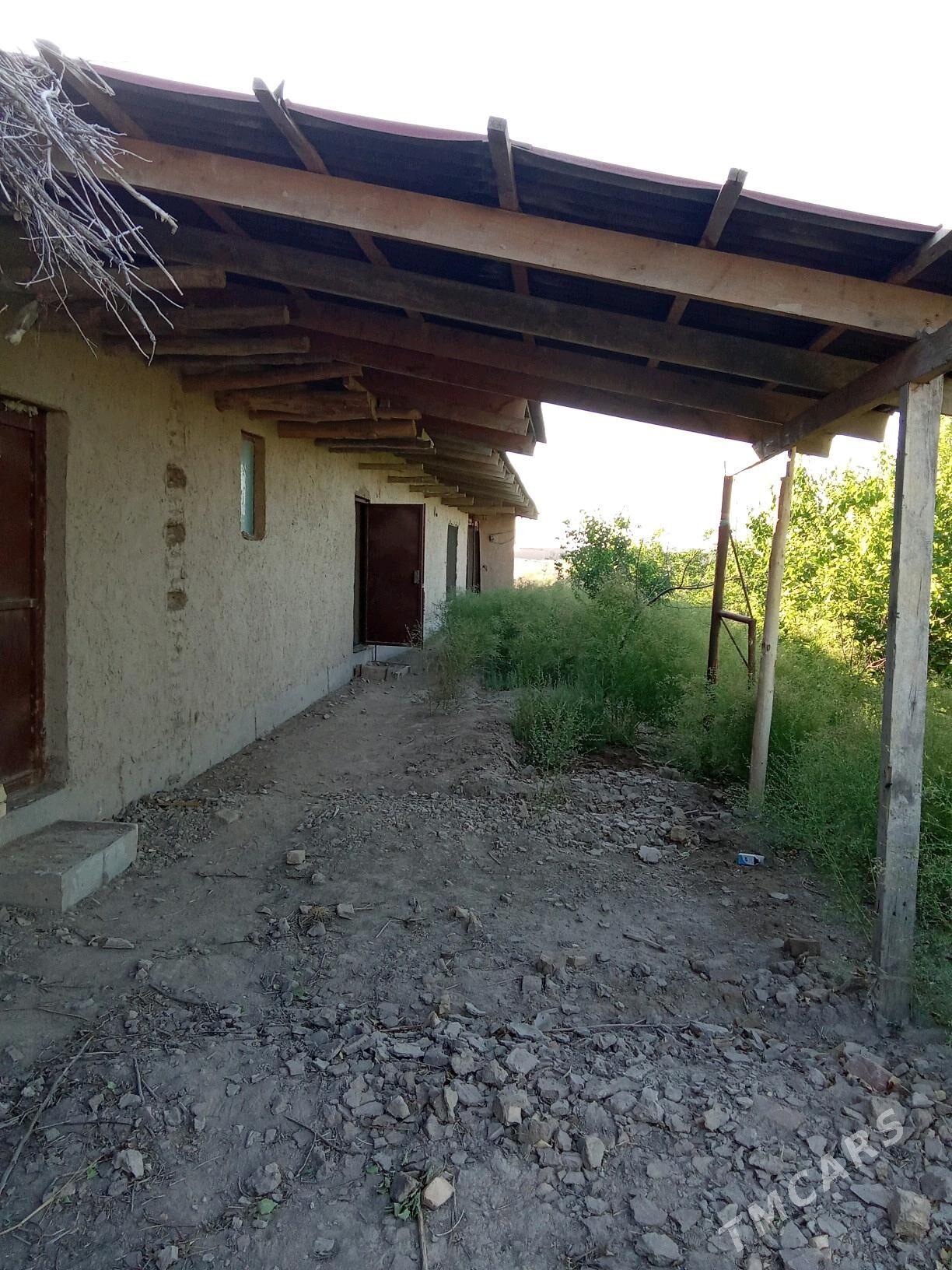 Uçasga - Gubadag - img 2