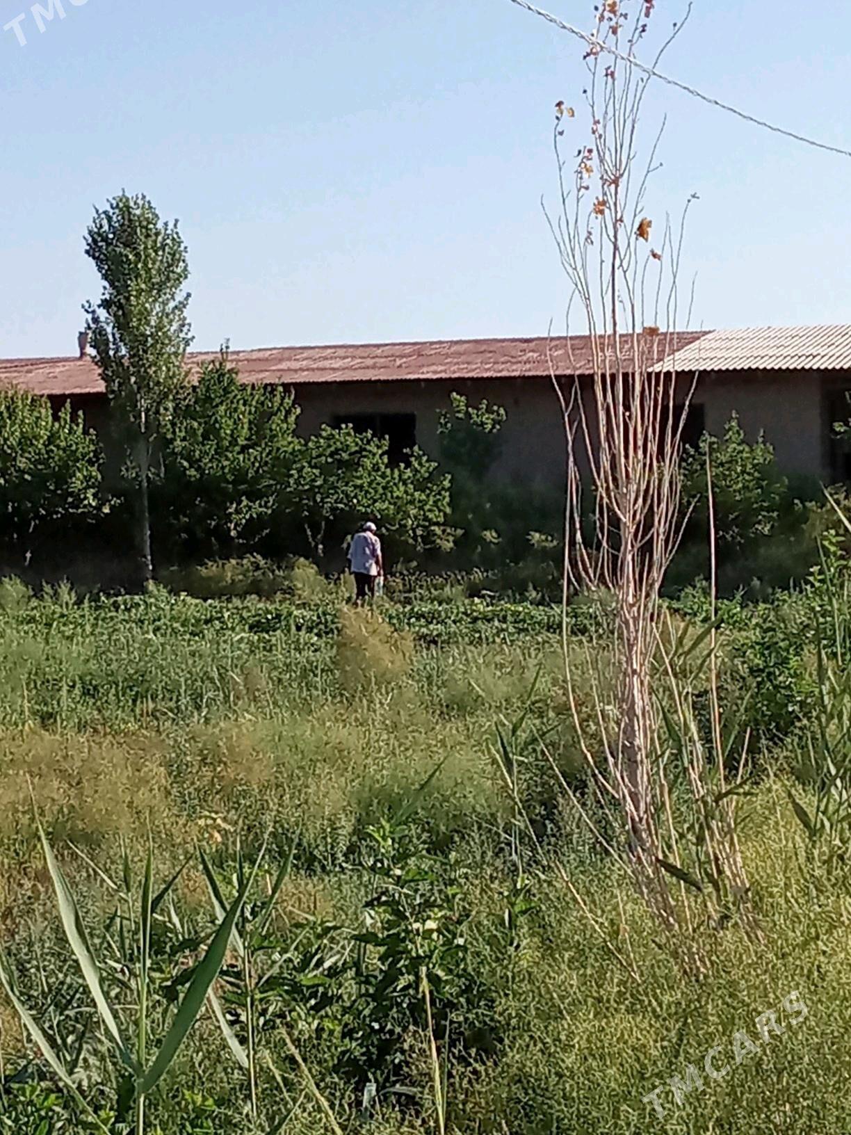 Uçasga - Gubadag - img 3