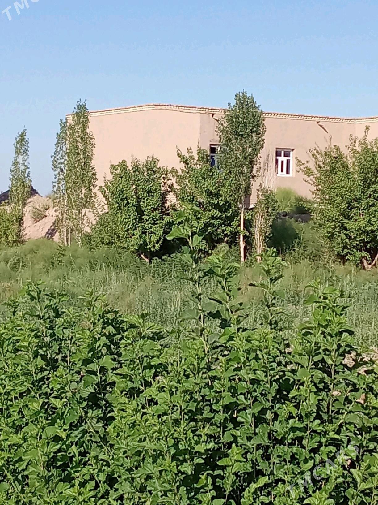 Uçasga - Gubadag - img 6