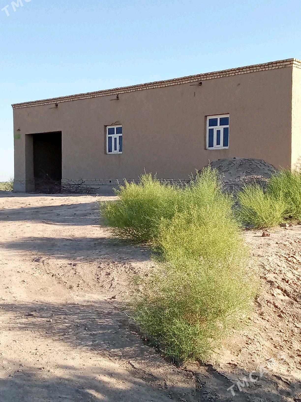 Uçasga - Gubadag - img 7