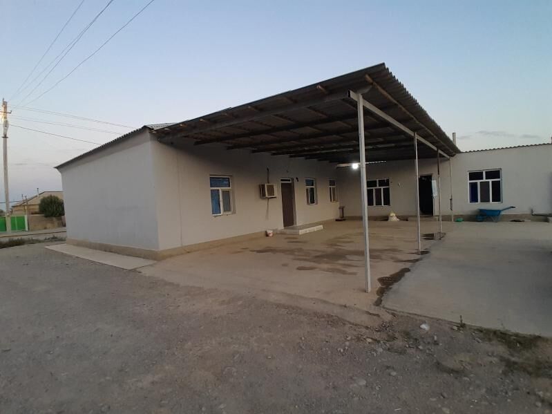 satlyk jay Kaka - Kaka - img 3