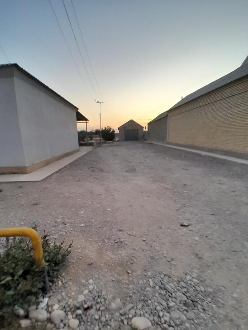 satlyk jay Kaka - Kaka - img 4