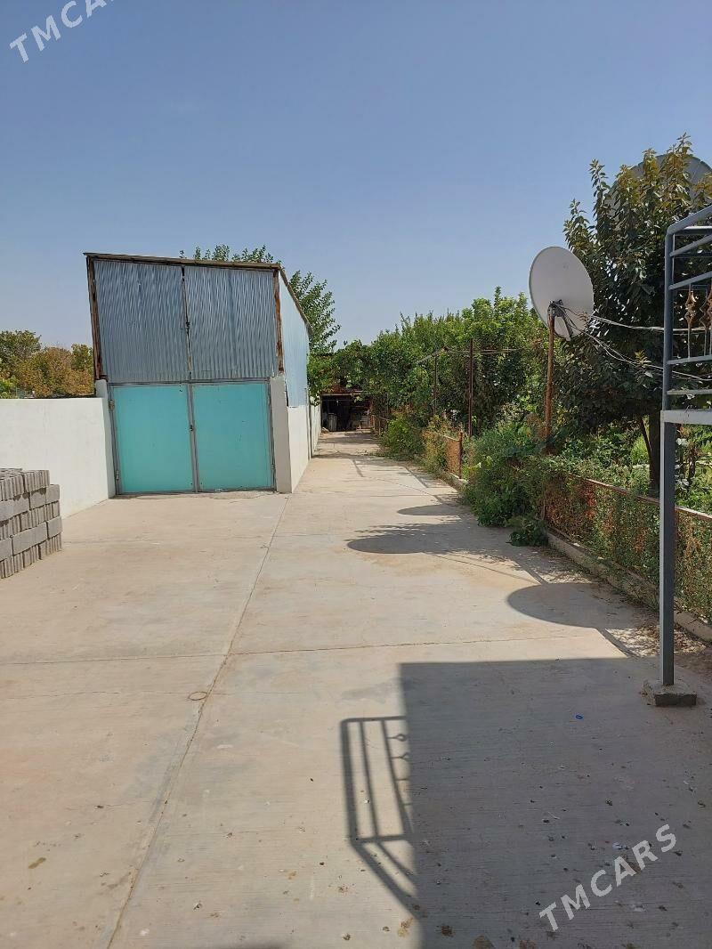 Iki gatly Plan jay - Änew - img 5