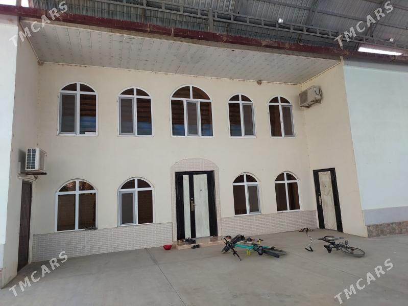 Iki gatly Plan jay - Änew - img 4