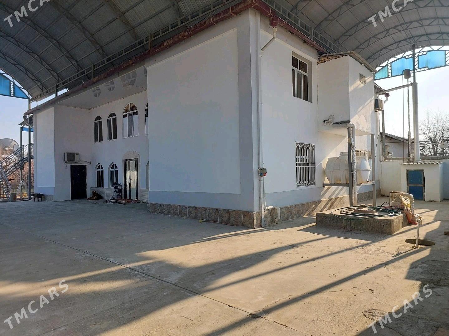 Iki gatly Plan jay - Änew - img 6