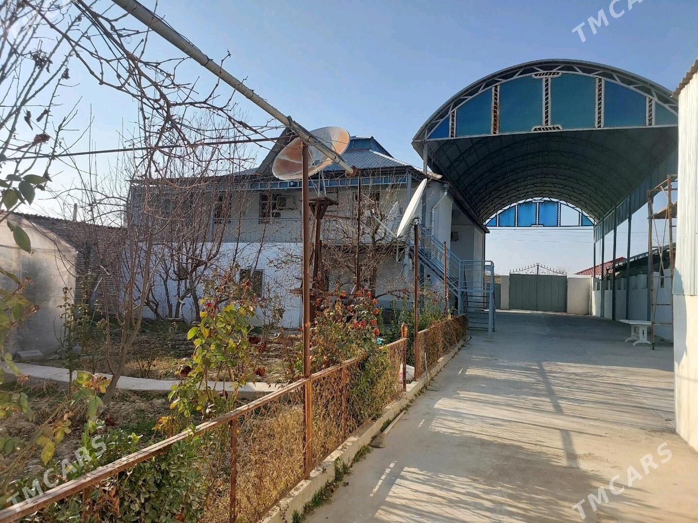 Iki gatly Plan jay - Änew - img 7