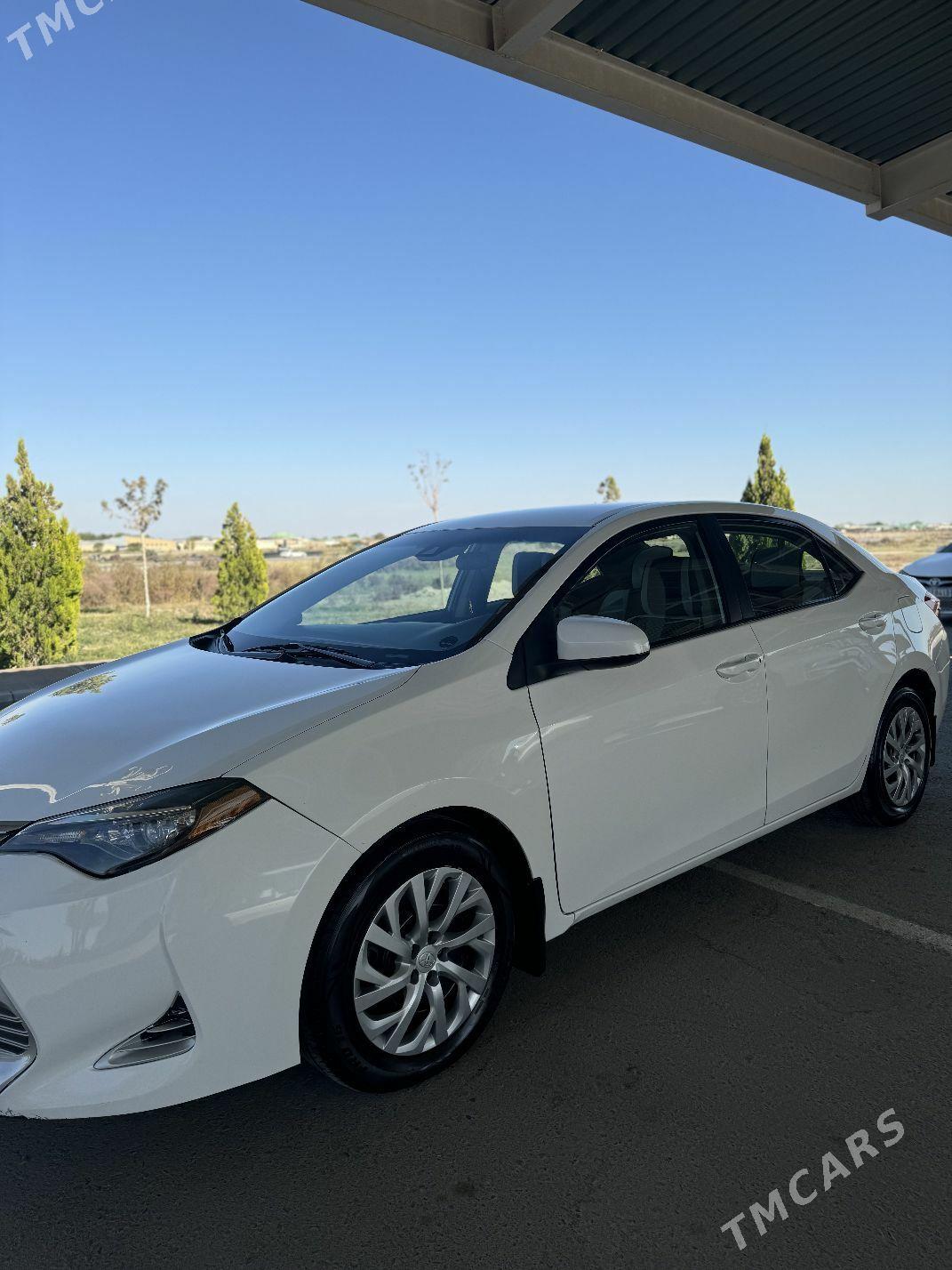 Toyota Corolla 2019 - 205 000 TMT - Türkmenabat - img 2