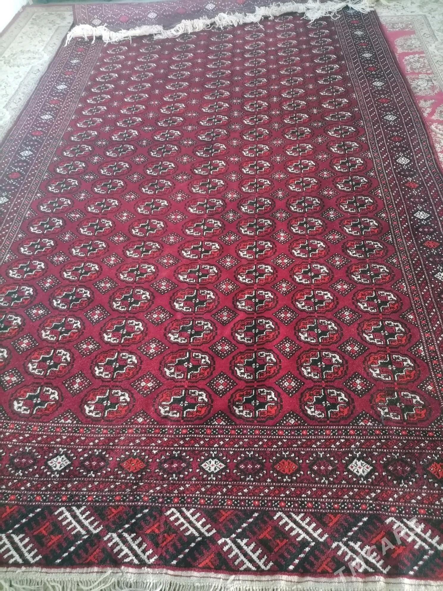 Turkmen haly - Gumdag - img 2
