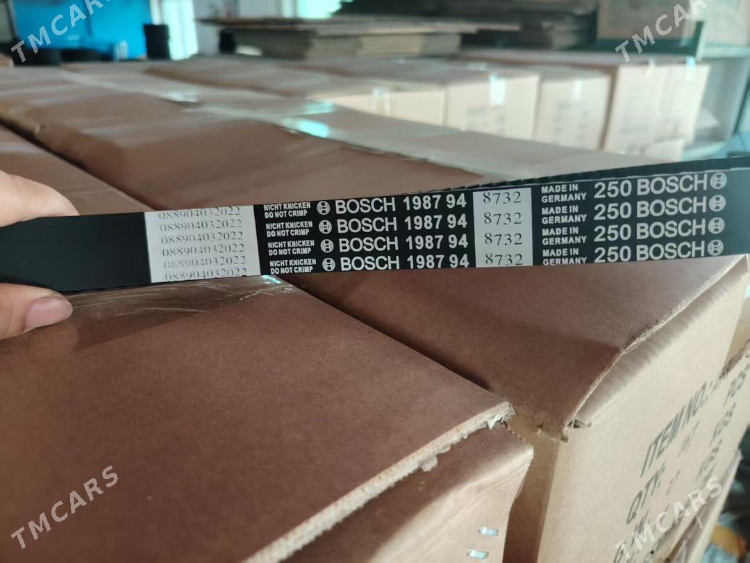 remen - Mary - img 1