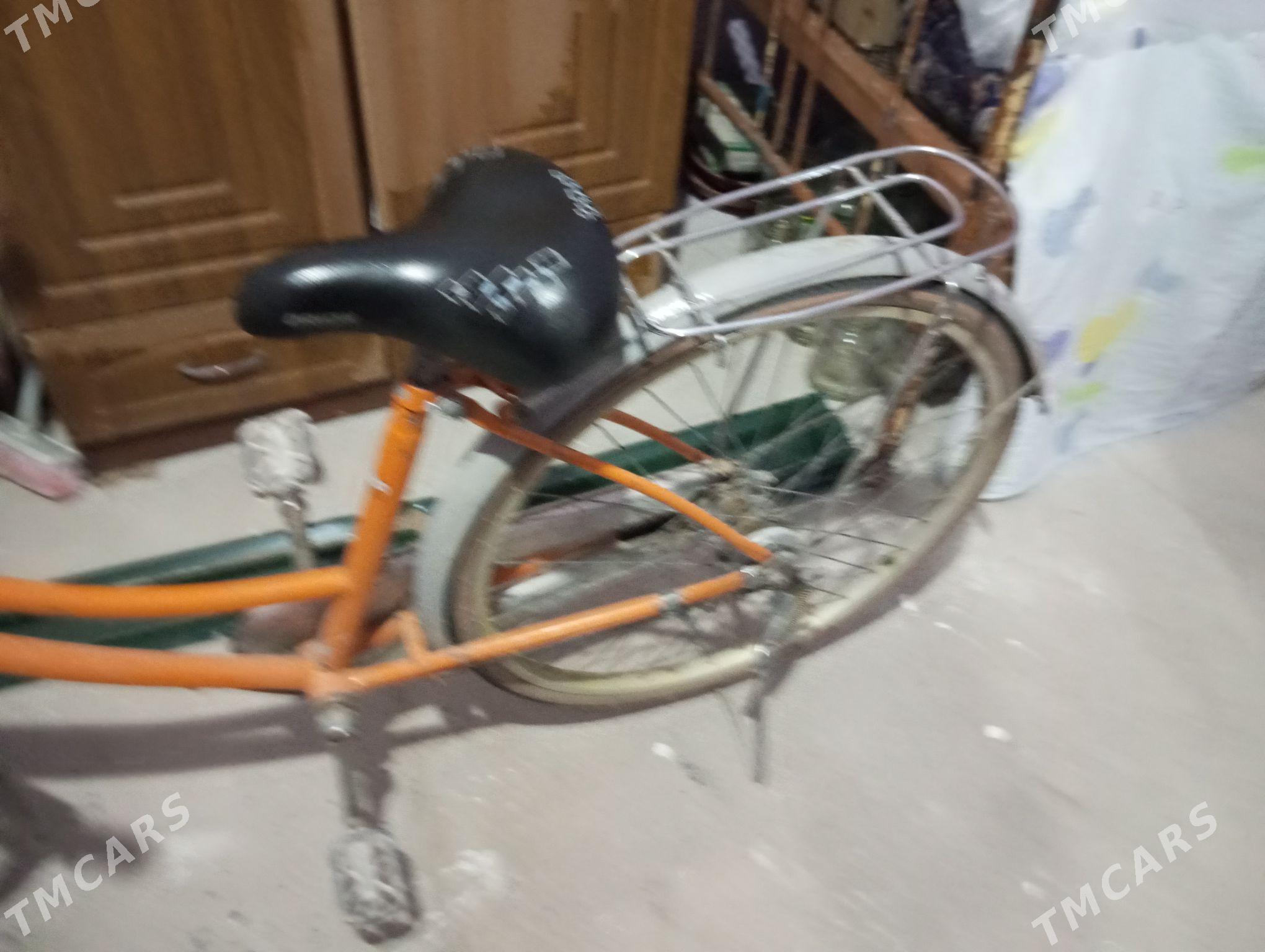 welik - Gumdag - img 2