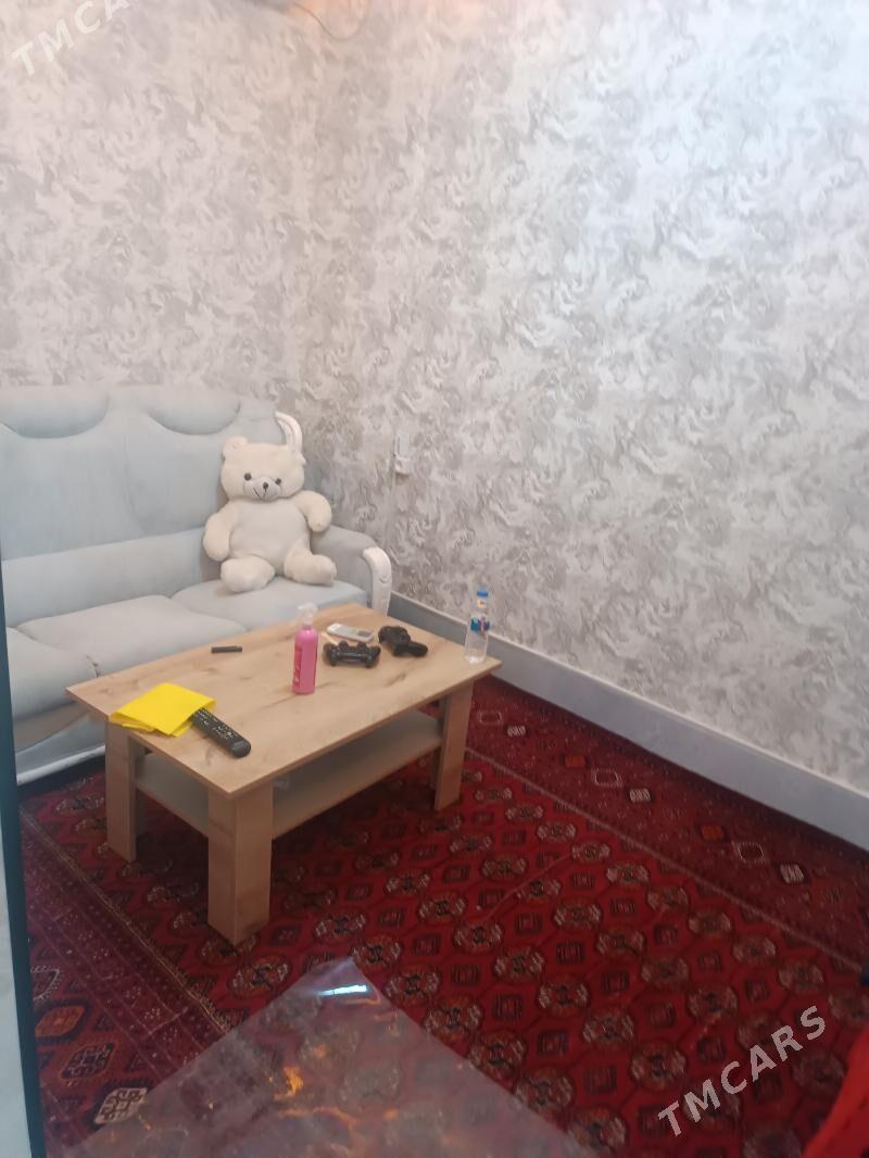 taze gurtly - Gurtly - img 2