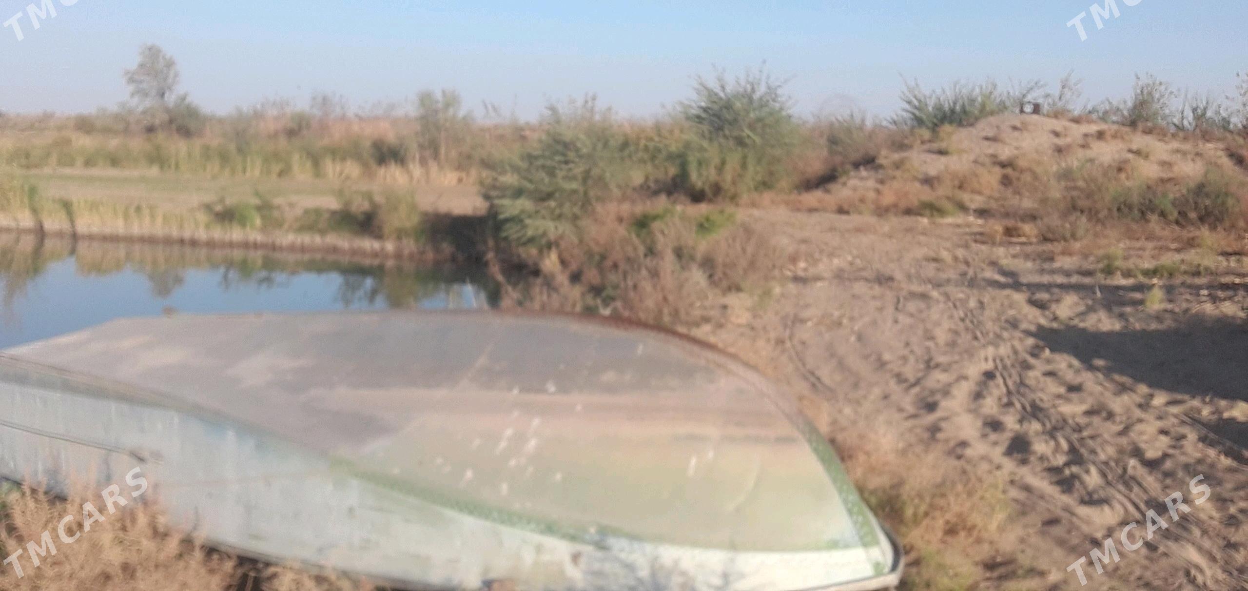 амур лодка - Сейди - img 3