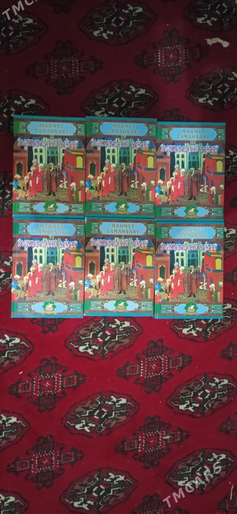 Ýagşyzadalaryň  bahary kitap - Сакарчага - img 1