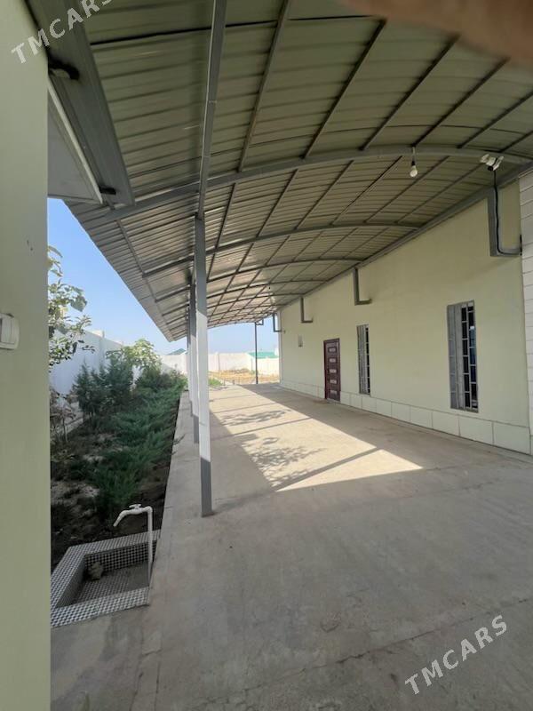 Gawers Taze Plan jay - Ýaşlyk - img 1