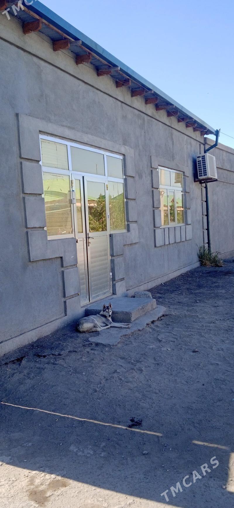 маркет - Дашогуз - img 1