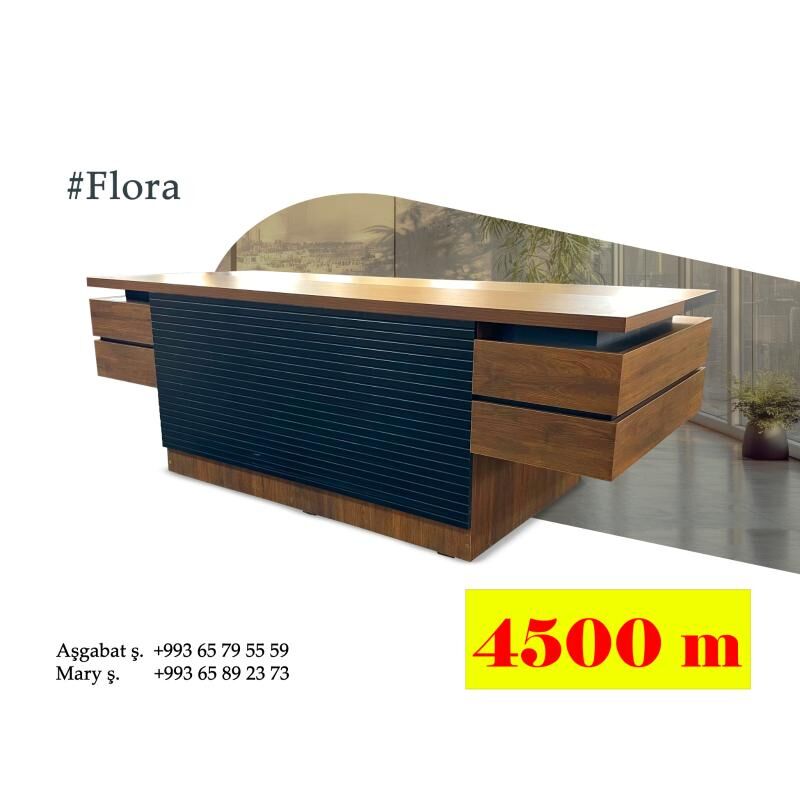 Ofis üçin stol стол для офиса - Ашхабад - img 3
