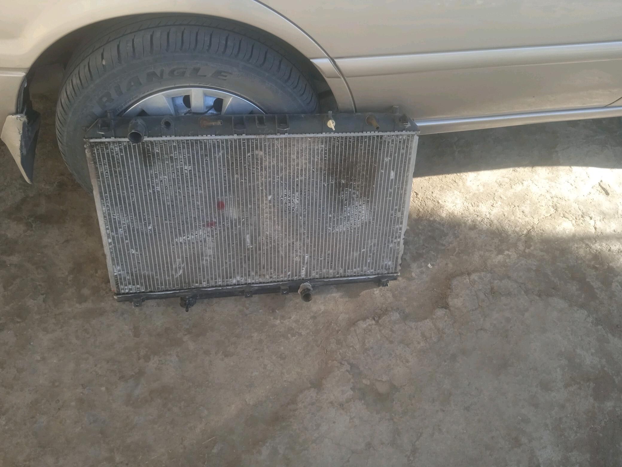 Radiýatyr babycka 400 TMT - Гурбансолтан Едже - img 2