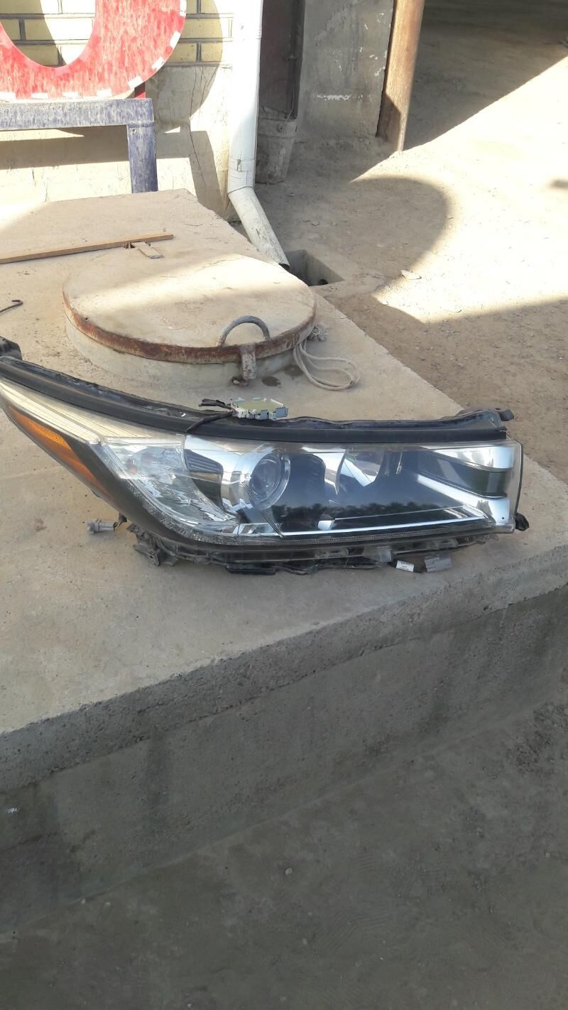 Highlander farasy Limiten 2 000 TMT - Мары - img 3