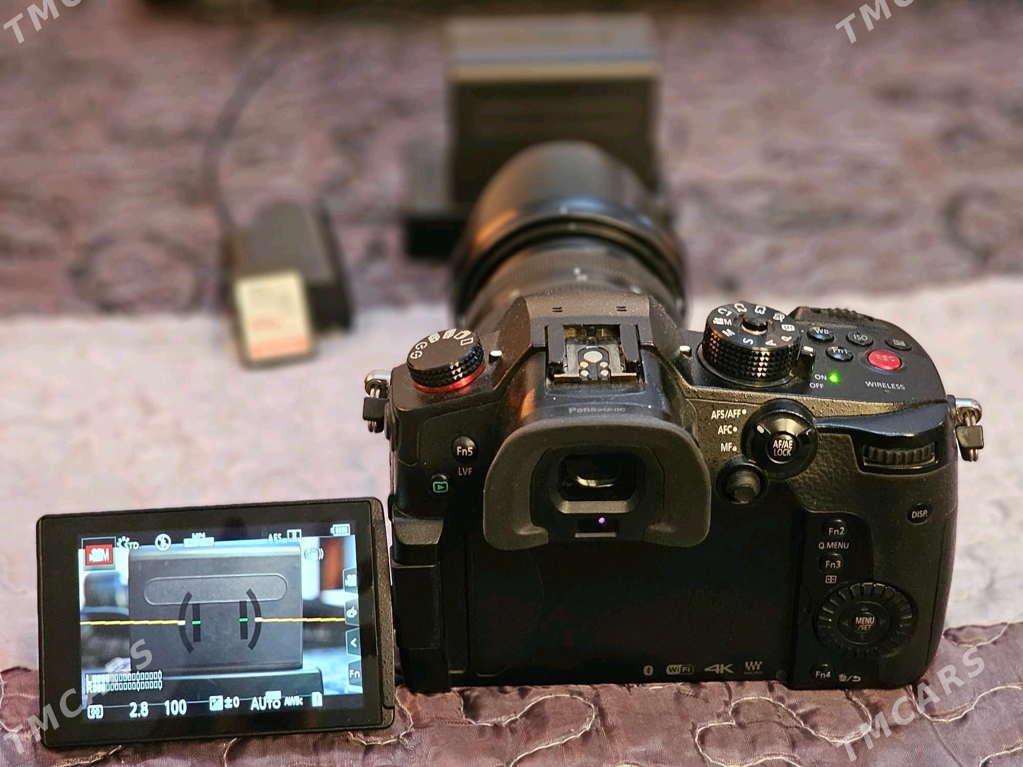 Lumix 5s - Ak bugdaý etraby - img 2