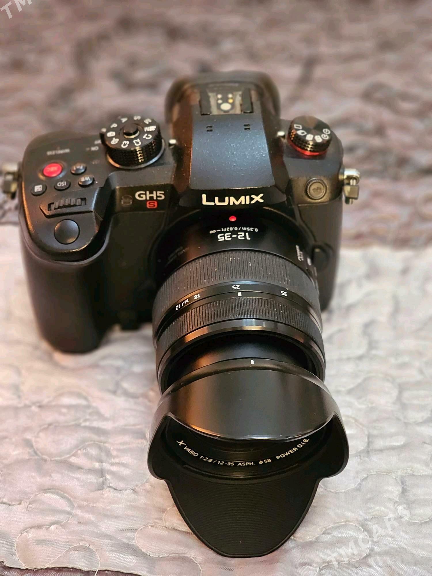 Lumix 5s - Ak bugdaý etraby - img 1