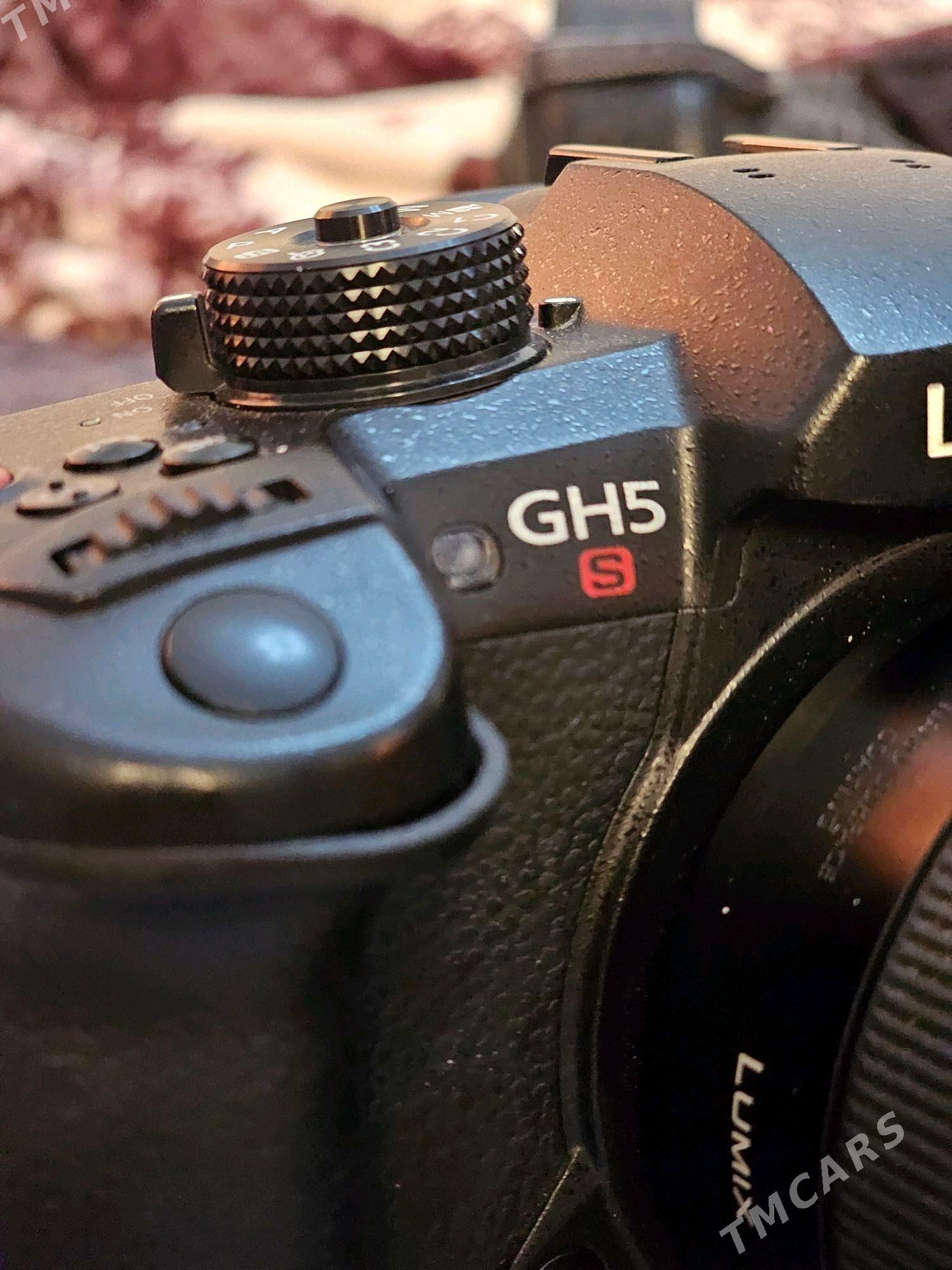 Lumix 5s - Ak bugdaý etraby - img 3