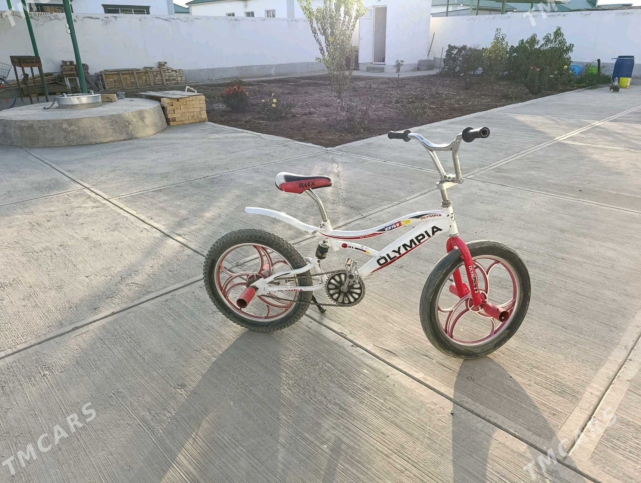 4 Duga tigur - Гёкдепе - img 1