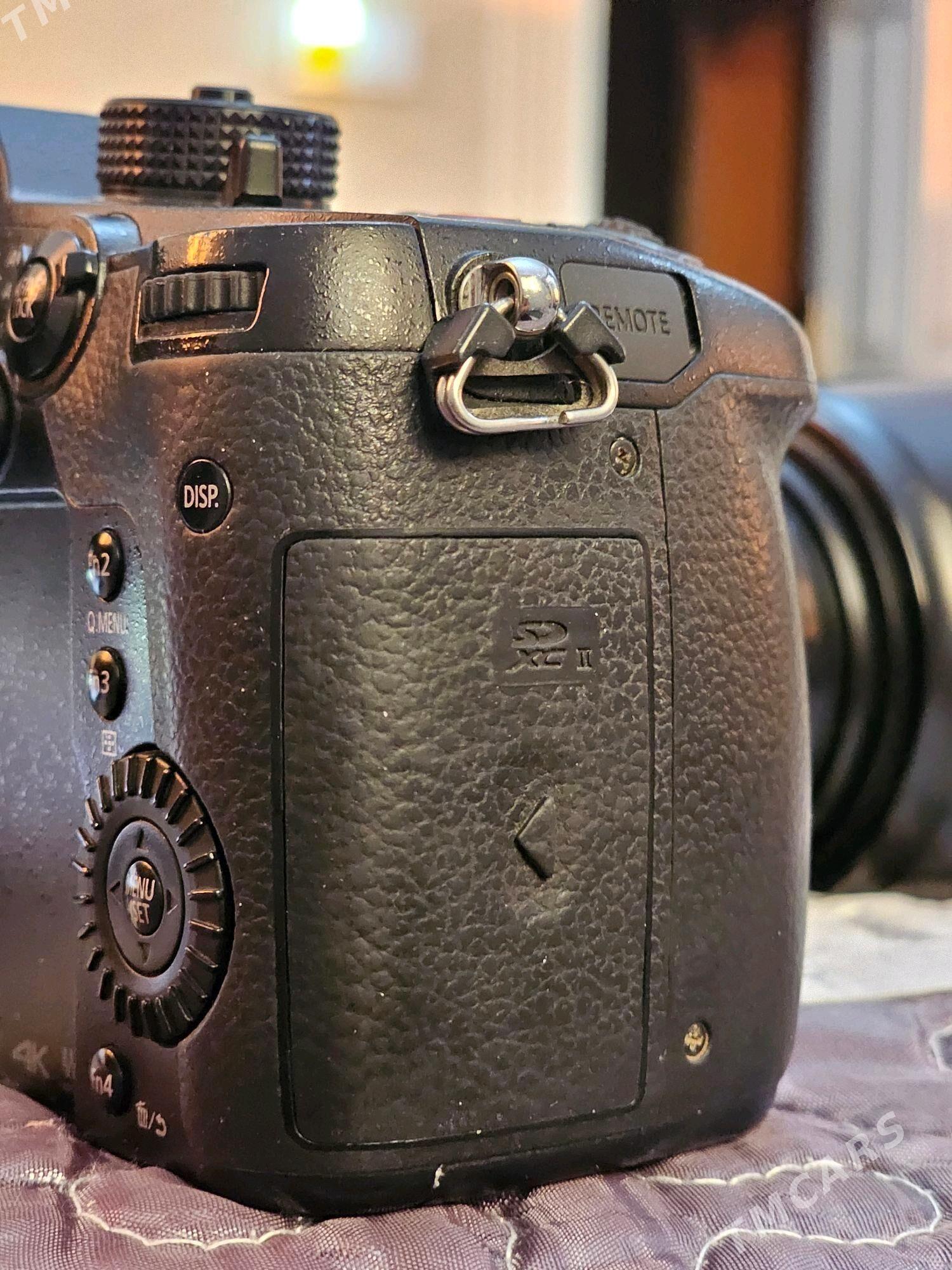 Lumix 5s - Ak bugdaý etraby - img 4