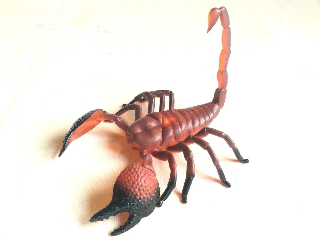 Муляж Скорпион - 30 mkr - img 1