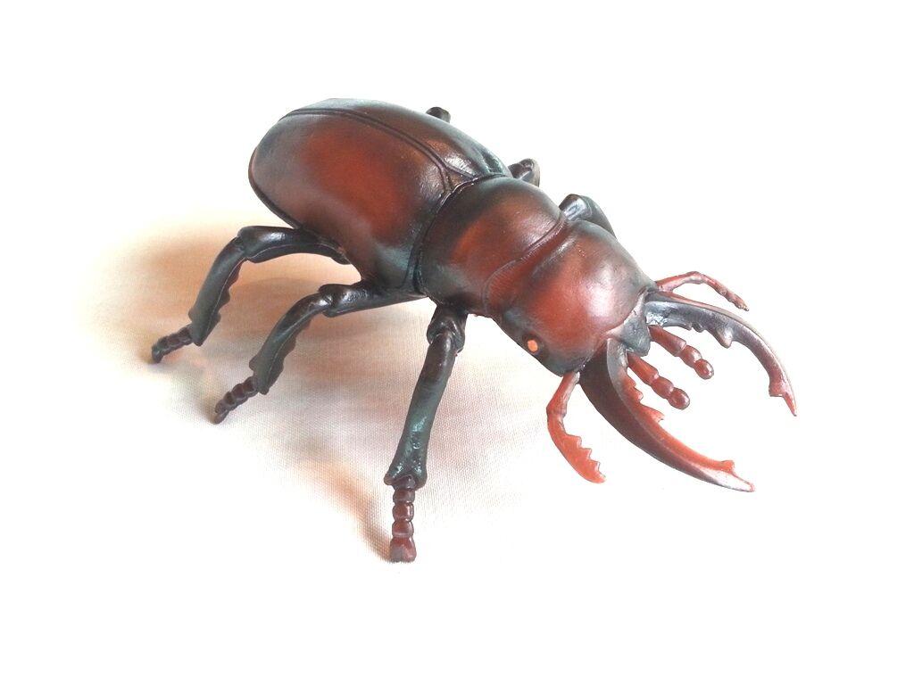 Муляж Жук - 30 mkr - img 1