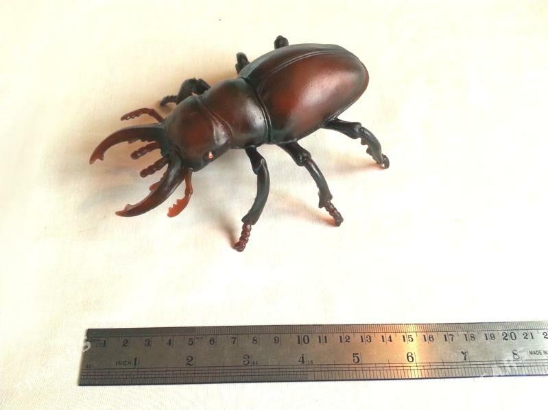 Муляж Жук - 30 mkr - img 2