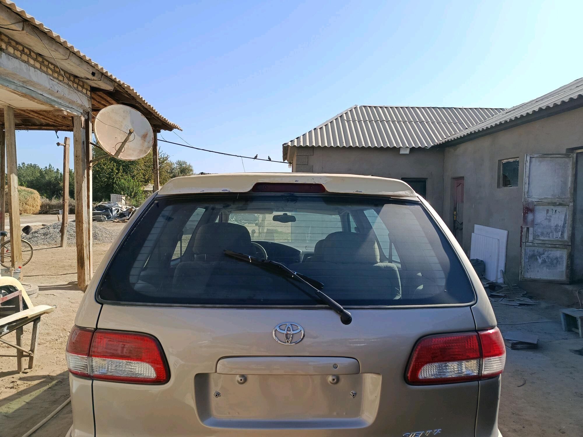 Siyena banan 400 TMT - Mary - img 2