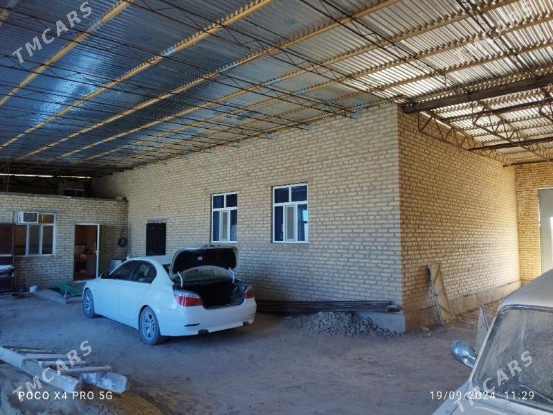 SATLYK JAÝ - Дарганата - img 5