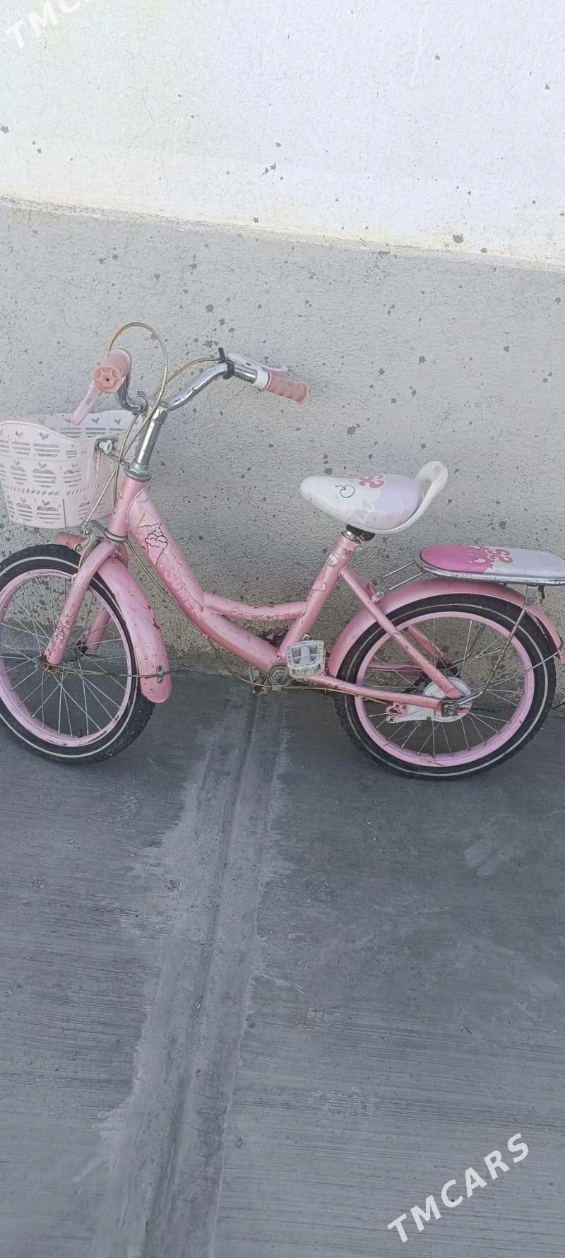 tigir - Tejen - img 2