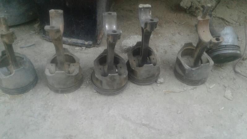 satyn porsyn 150 TMT - Бахарден - img 2