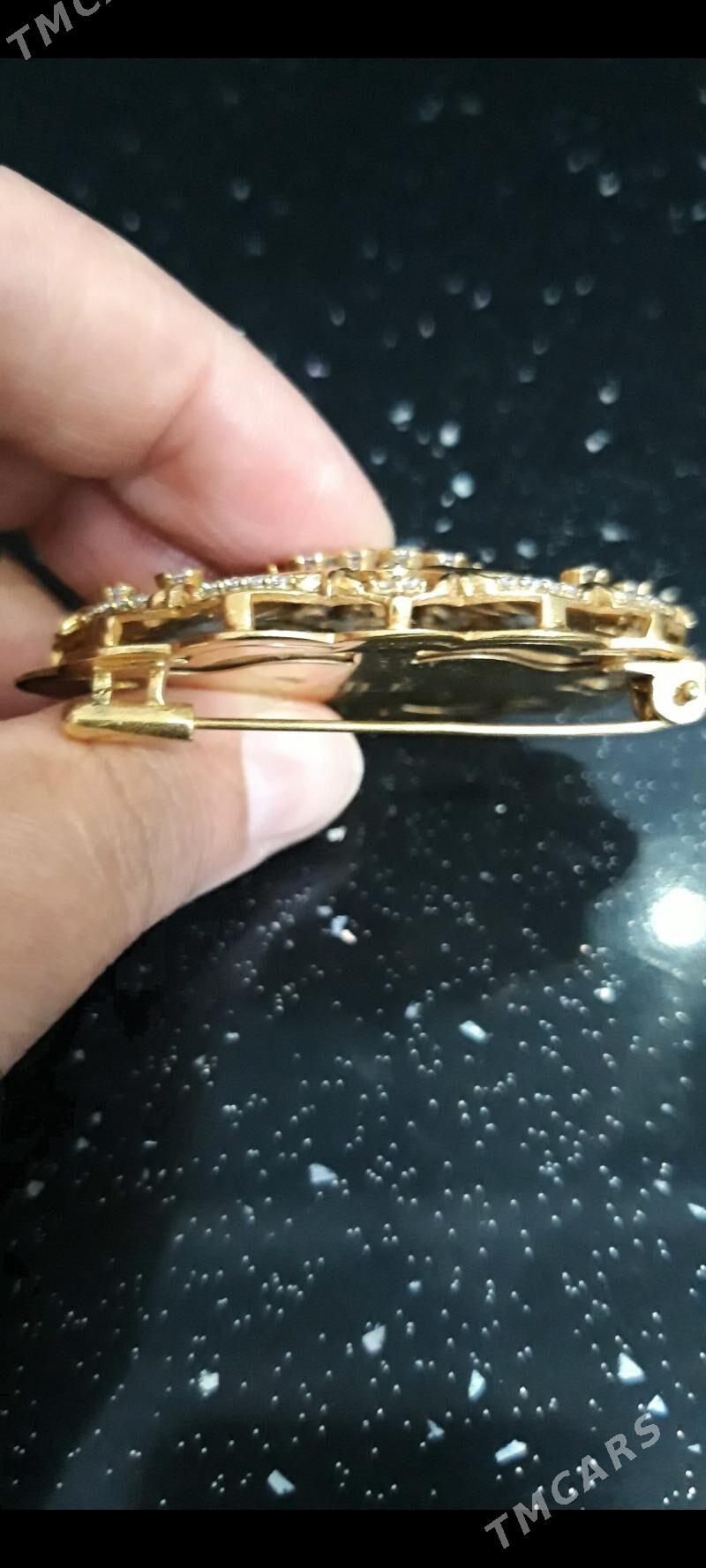 gyzyl çaýylan brosga - Бузмеин - img 1