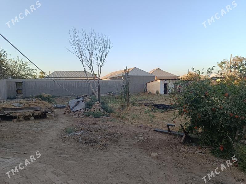 Jay 12 sotok yer - Murgap - img 2