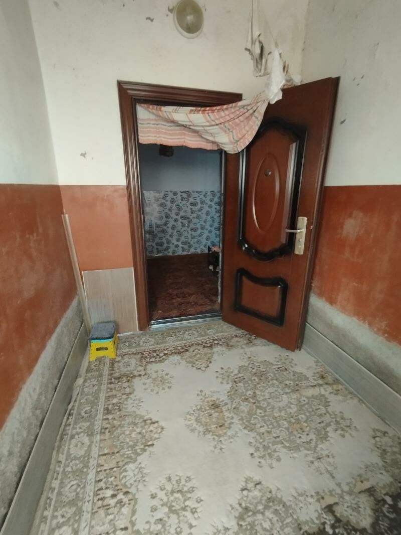 Satlyk howly jay - Mary - img 2