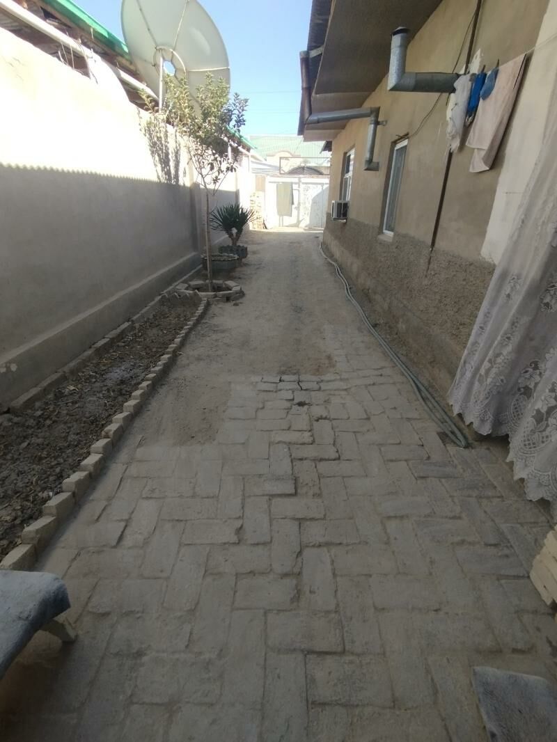 Satlyk howly jay - Mary - img 4