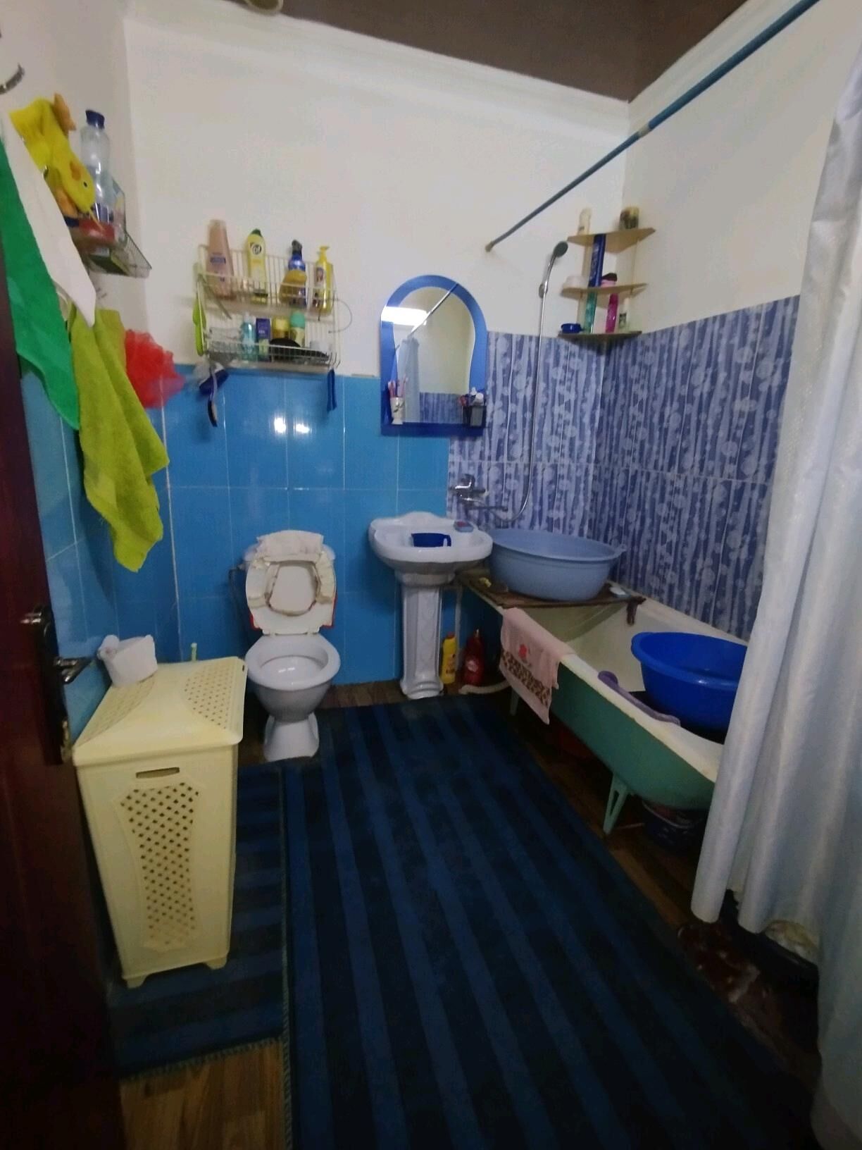 Satlyk howly jay - Mary - img 10