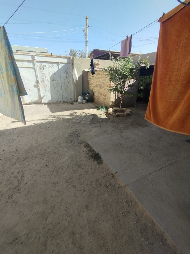 Satlyk howly jay - Mary - img 7