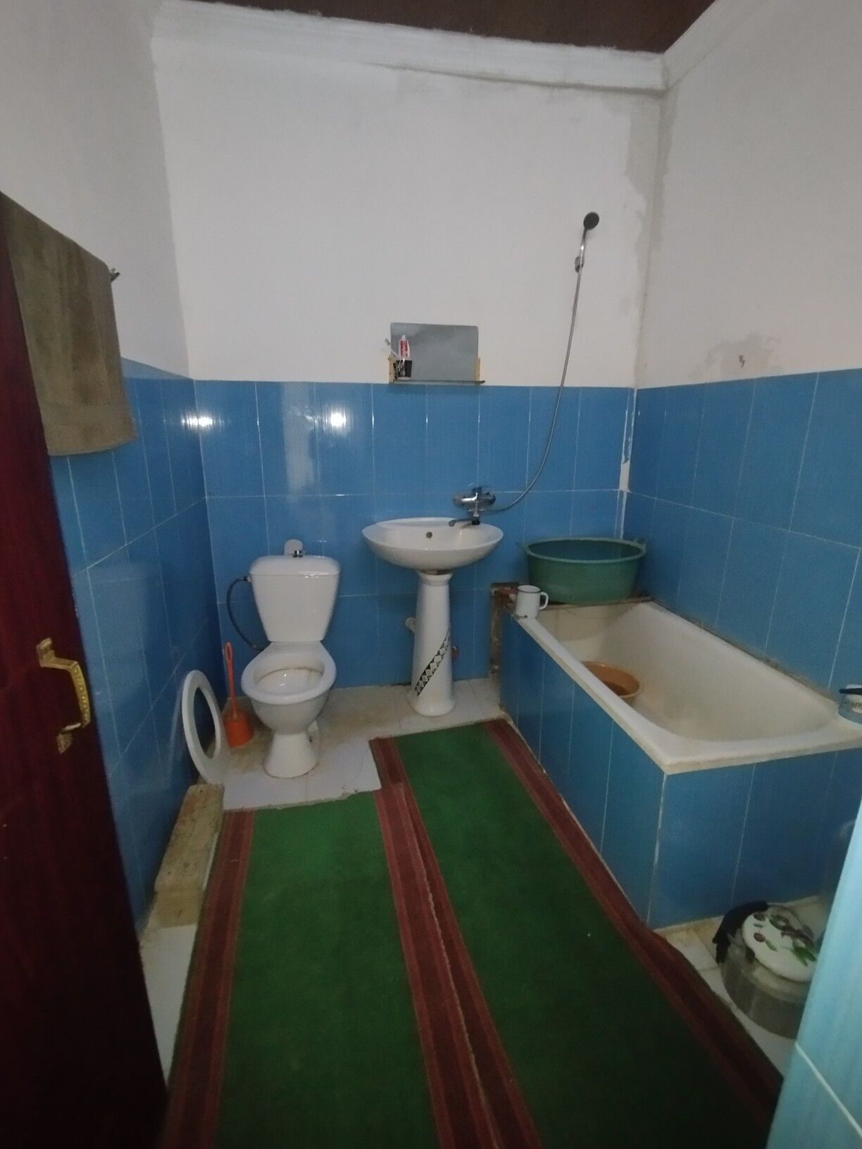 Satlyk howly jay - Mary - img 1