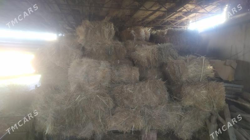 мал оты - Сакар - img 1