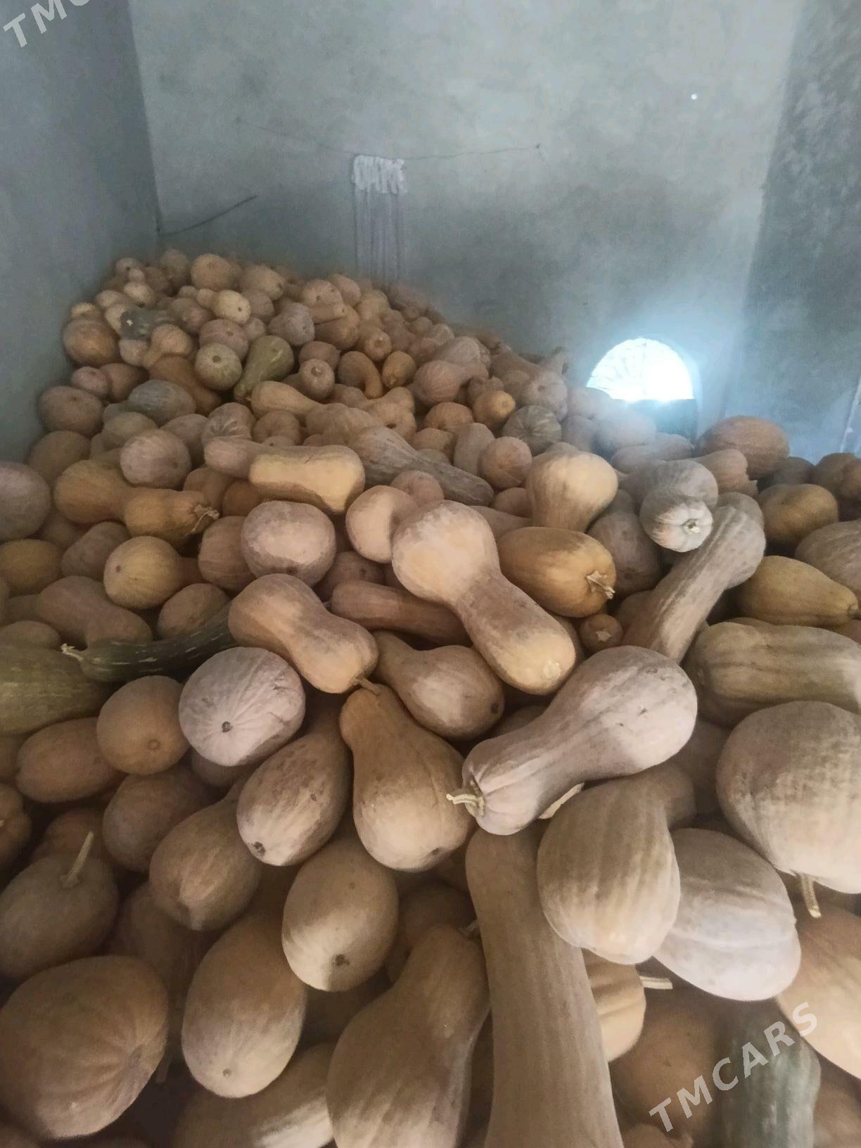 kadi iyilyan suyji kadi - Çärjew - img 1