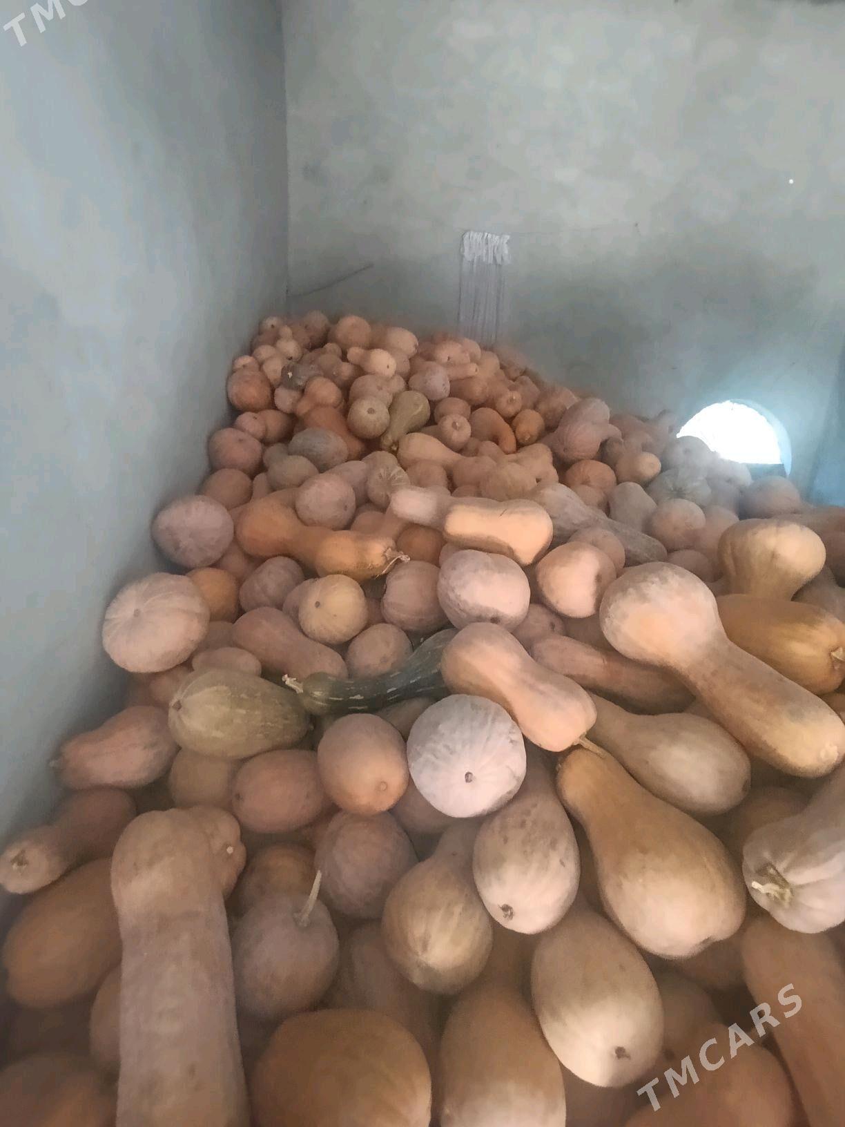 kadi iyilyan suyji kadi - Çärjew - img 2