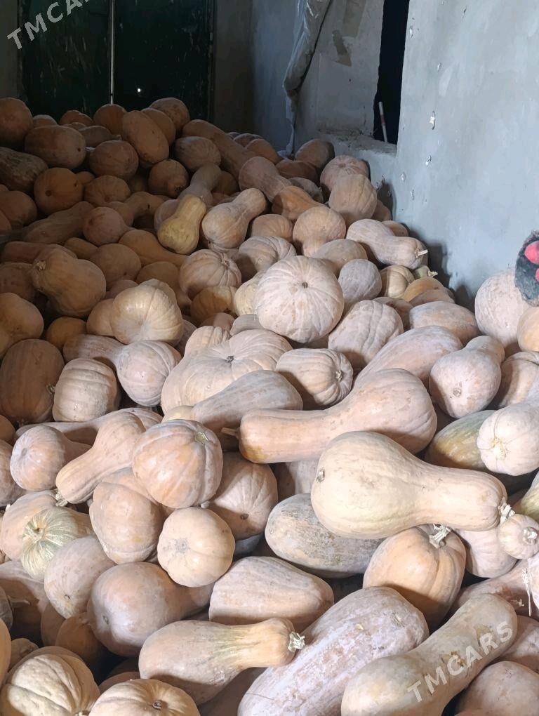 kadi iyilyan suyji kadi - Çärjew - img 3