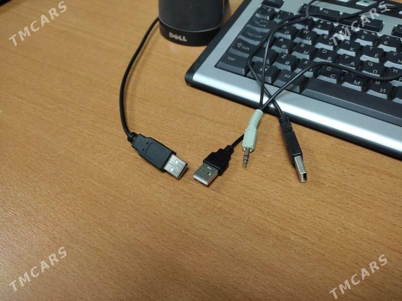 Klawi, kalanok, mys - Ашхабад - img 1