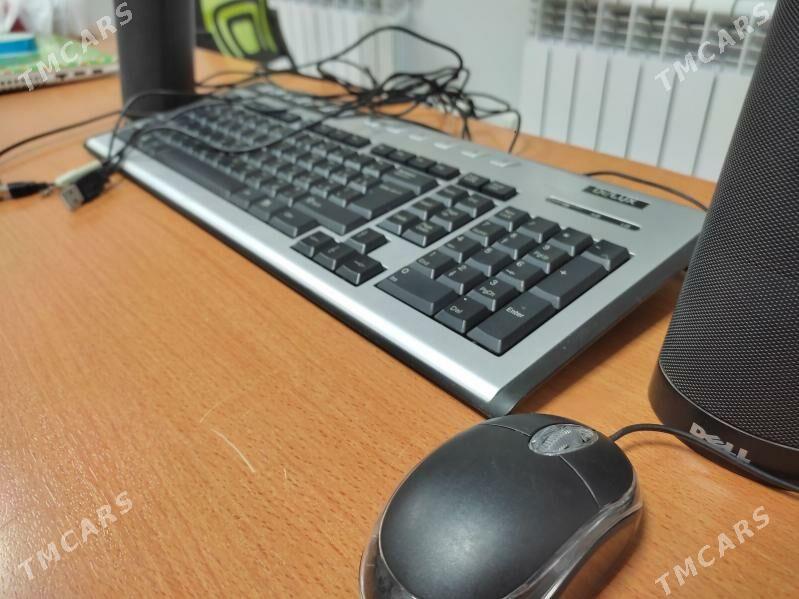 Klawi, kalanok, mys - Ашхабад - img 4